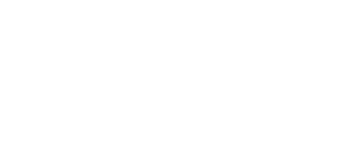 FVG AG